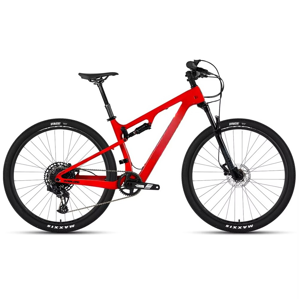 WWE Carbon Fiber Frame Full Ab - đánh giá và giá Carbon Bike Frame